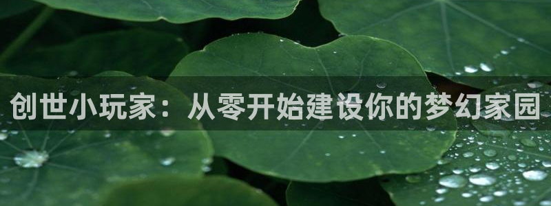 先锋娱乐体育:创世小玩家:从零开始建设你的梦幻家园