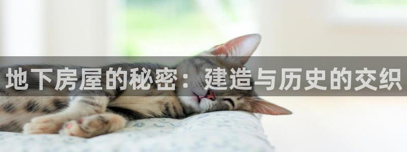 先锋娱乐快讯:地下房屋的秘密:建造与历史的交织