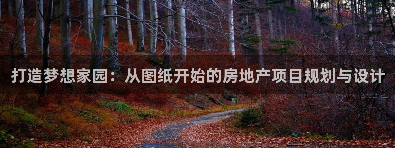 先锋娱乐大厅斗牛:打造梦想家园:从图纸开始的房地产项目规划与设计